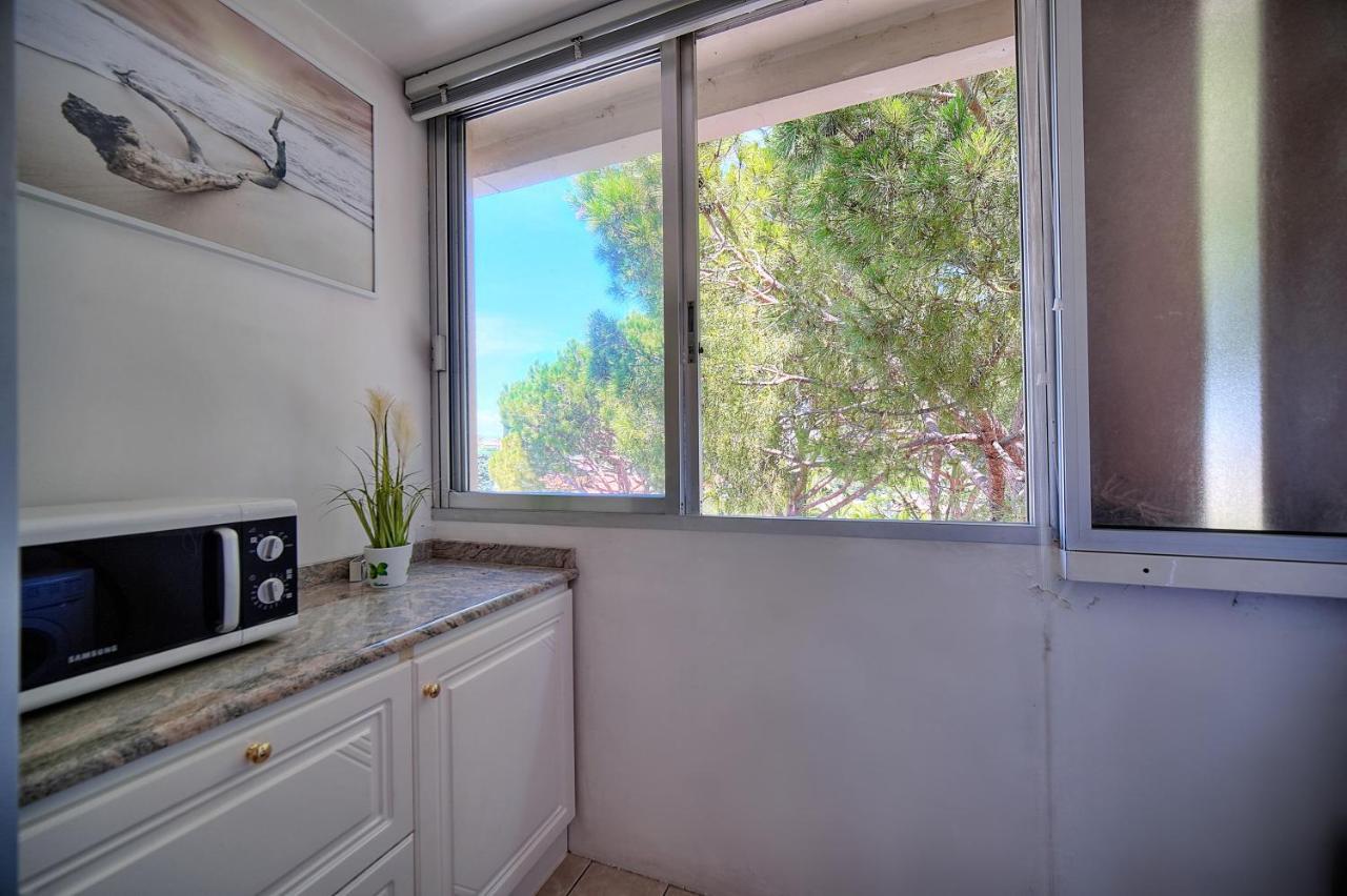 Attique Antibois - Piscine - Vue - Parking - Wifi Apartamento Antibes